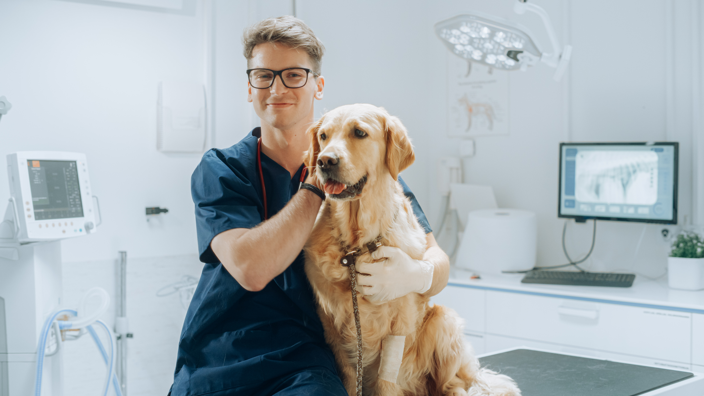 Animal
Caretaker